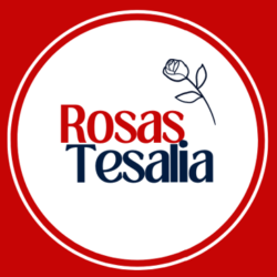 Rosas Tesalia